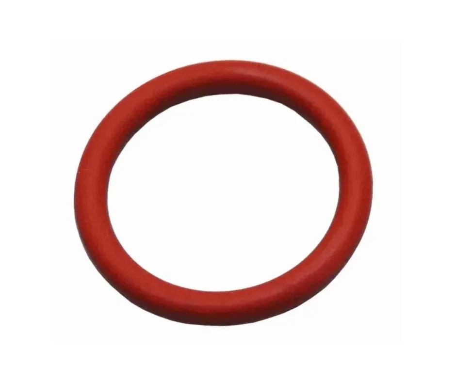 Página de produto: Anel de Vedação Silicone
